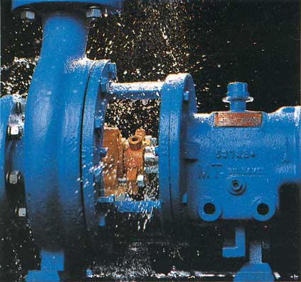 fix leaking pump seal