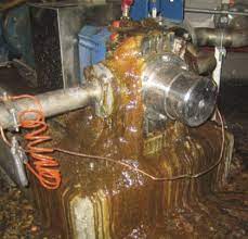 Wrightflow Pump Leaking Modernpumping
