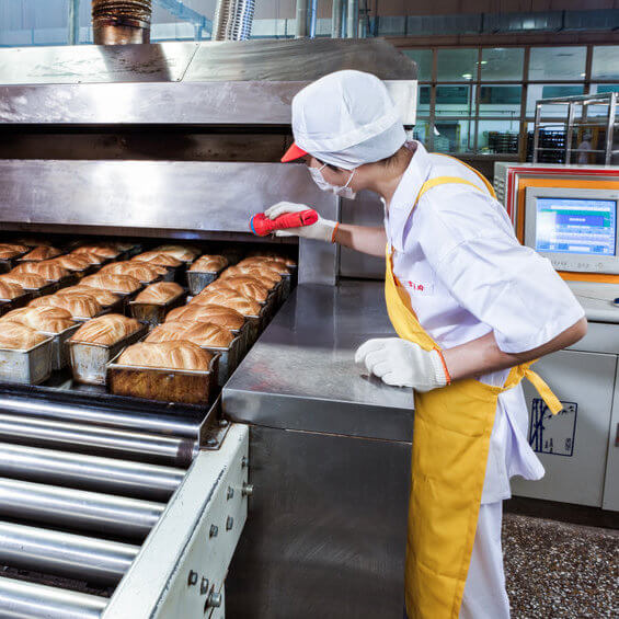 Bread Bread Production Plant