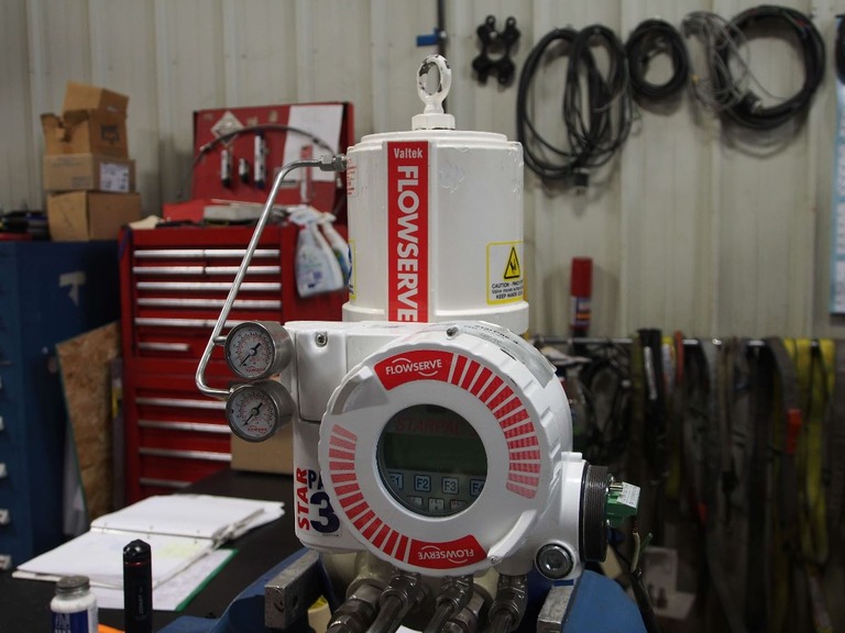 Flowserve Valve