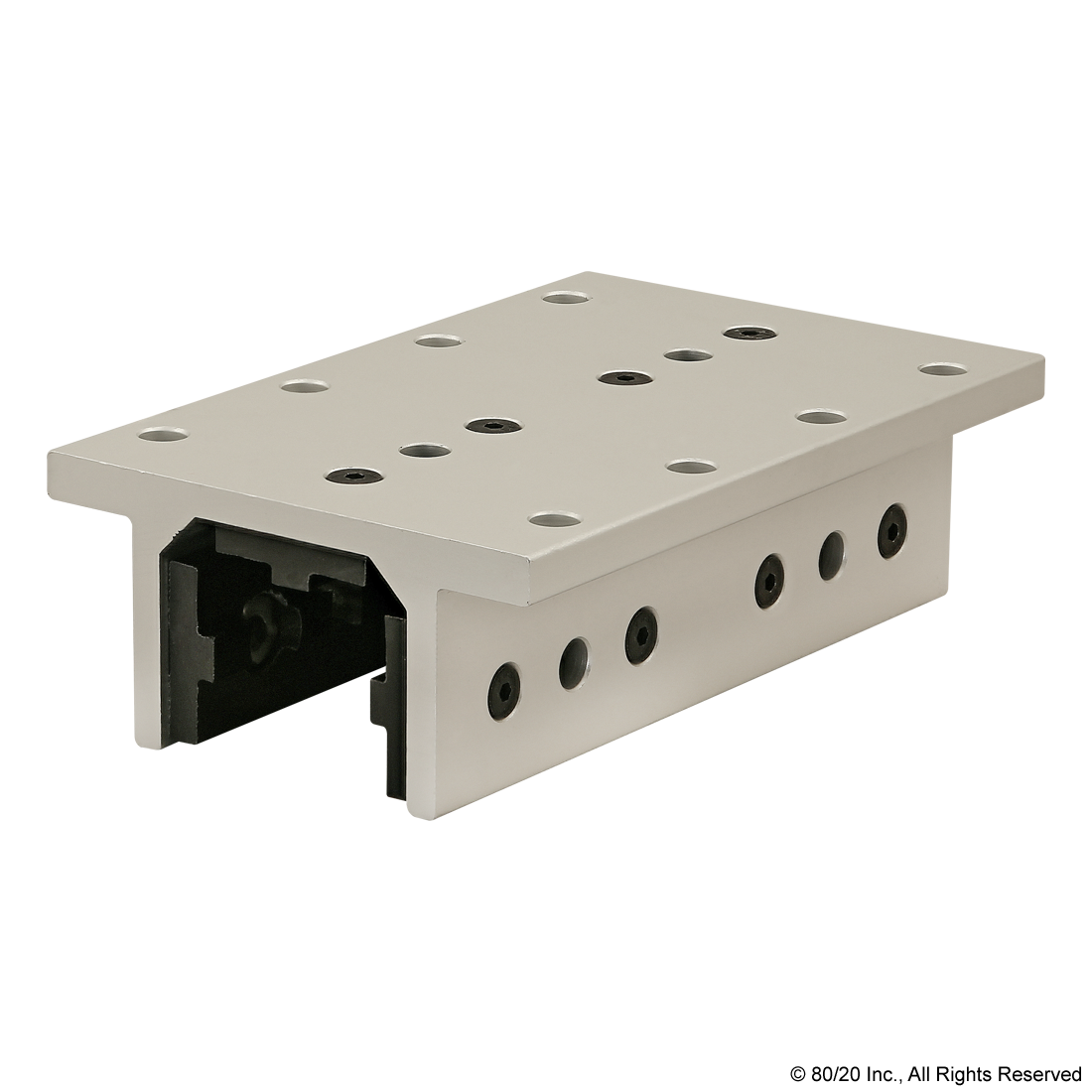 40 SERIES 3 SLOT MOUNT - DOUBLE FLANGE LONG HIGH-CYCLE LINEAR BEARING WITH BRAKE HOLES