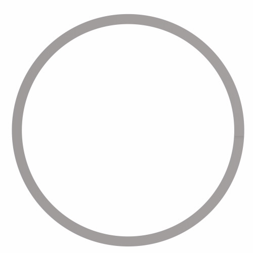 PISTON SEAL