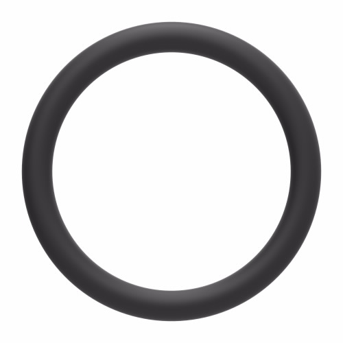 PACKING O-RING