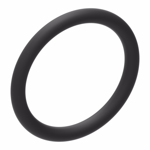 PACKING O-RING