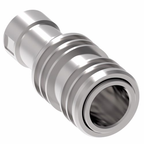 FEM. 3/4`G. INOX +EPDM