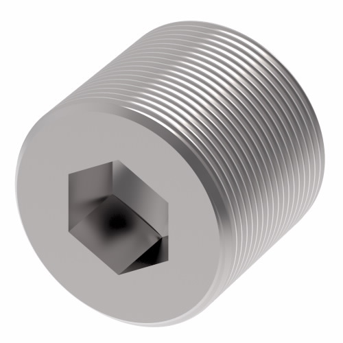 EXTERNAL PIPE PLUG HEX