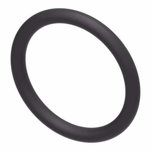 PACKING O-RING