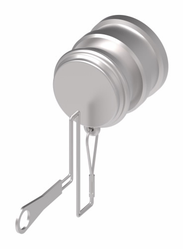 DUST CAP