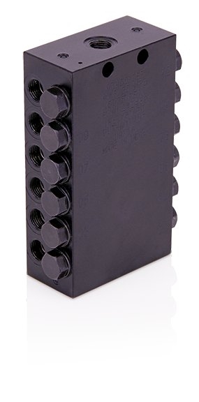 VALVE, CSP, 12 OUTLET, NPT, PKG