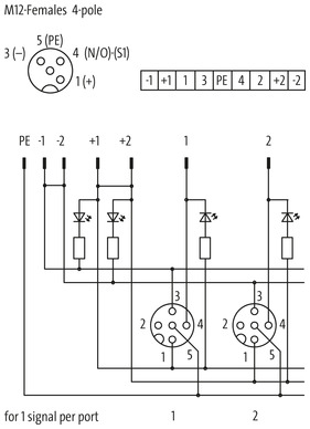EXACT12, 4XM12, 4 POLE BASIC HOUSING, NPN-LED`S