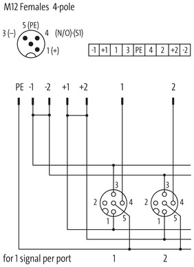 EXACT12, 4XM12, 4 POLE BASIC HOUSING, W.O. LED`S