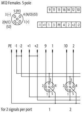 EXACT12, 4XM12, 5-POLE, BASIC HOUSING, W.O. LED`S
