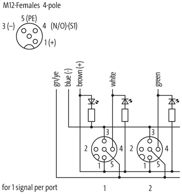 EXACT12, 8XM12, 4 POLE MOULDED CABLE