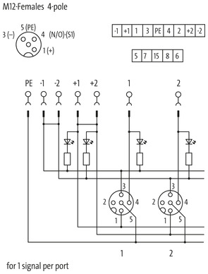 EXACT12, 8XM12, 4 POLE CAP, PLUG. SCREW-TERM.