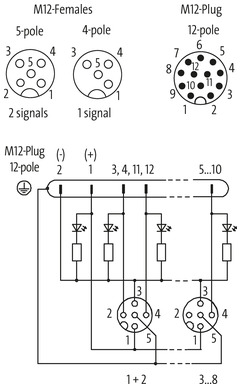EXACT12, 8XM12, 4 POLE