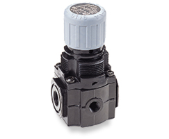 Excelon pressure relief valve, 1/4 PTF, 0.3-10 bar, without gauge