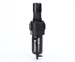 Excelon filter/regulator, 3/4 PTF, 0.7-17 bar, manual drain, 5µm filter element, without gauge