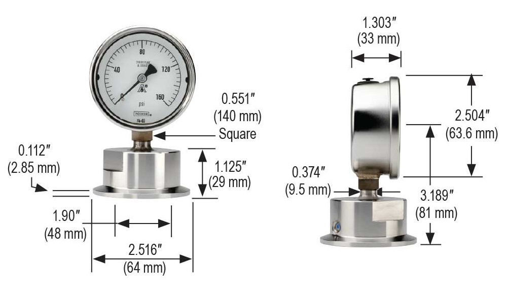 10 Series 0 to 200 psig Pressure Range Heavy-Duty Sanitary Pressure Gauge
