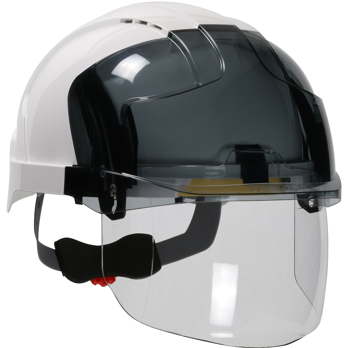 Face & Head Protection