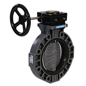 PPL/PPL/EPDM B-FLY VLV 10"