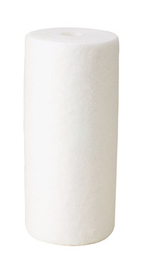 VERSAFLEX PP FLTR CART 10" 25MIC