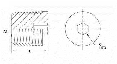 HOLLOW HEX PIPE PLUG