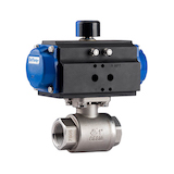 Delval Ball Valve 2000