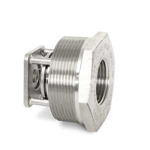 DFT Basic check valve