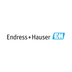 Endress+Hauser Representative