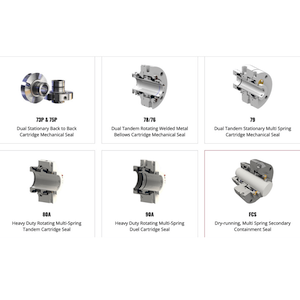 Flexaseal Dual Cartridge Mechanical Seal