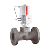 Flowserve Control Valve Mark One