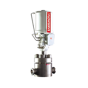 Flowserve Valtek Control Valve Mark