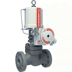 Flowserve Valtek Mark One Control Valve
