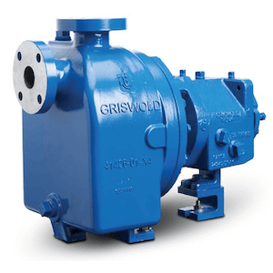 griswold-ansi-pump-811sp