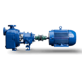 griswold-ansi-pump-811sp-4-assembly