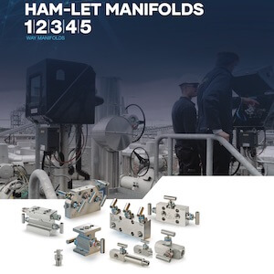 Ham-let manifolds