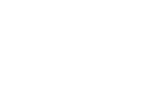 moog