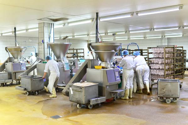Corn Chips and Pepperoni Processing Actuators