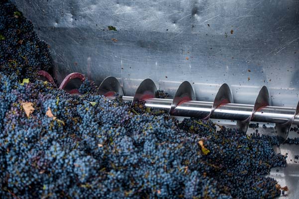 Grape Crushing Processing Actuators