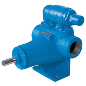 Viking Pump Model AK4195 Cast Iron Gear Pump 4-1915-2231-563