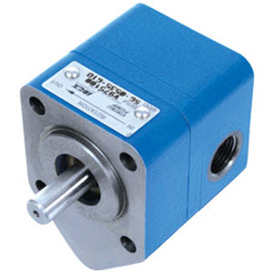 Viking Pump Model SG0418A0O Cast Iron Spur Gear Pump L-0418-1852-029