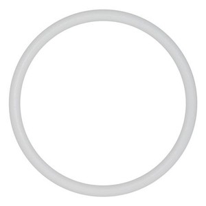 Wilden-02-1200-55-PTFE-O-ring
